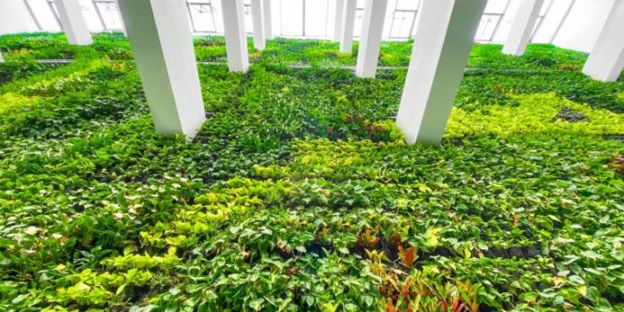 garden-765x383