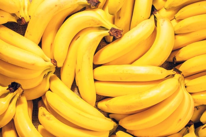 Buletini Ekonomik-banane