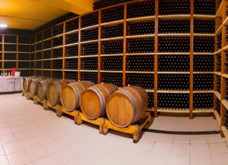 What is Kosovo’s beverage production potential?