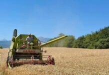 100 milionë euro në dispozicion, Shqipëria miraton themelimin e Bankës së Zhvillimit
