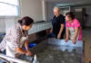 Mes bunarëve dhe kazanëve, Kosova ëndërron ekonominë moderne