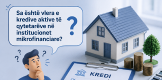 Qytetarët e Kosovës kanë 528 milionë euro kredi aktive në institucionet mikrofinanciare Kredi aktive në institucionet mikrofinanciare