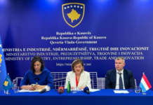 Mbi 2 milionë euro grante për bizneset në Kosovë, lansohen skemat për inovacion dhe energji të pastër