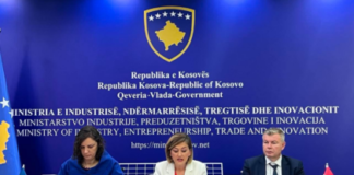 Mbi 2 milionë euro grante për bizneset në Kosovë, lansohen skemat për inovacion dhe energji të pastër